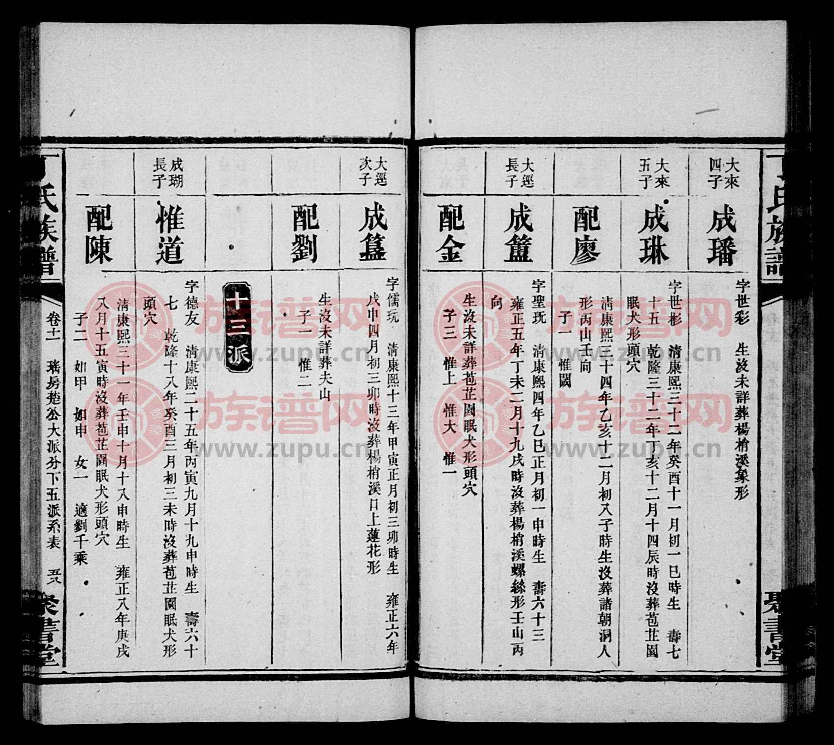 丁氏族谱新编，家族故事与美食秘境的探寻