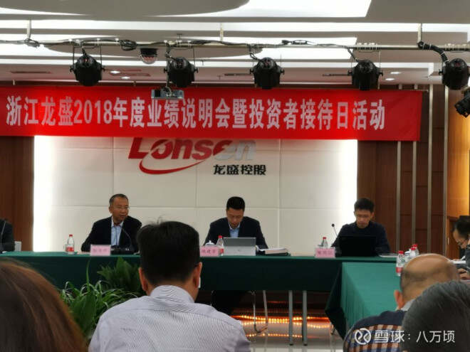浙江龙盛最新动态深度解析，观点阐述与分析