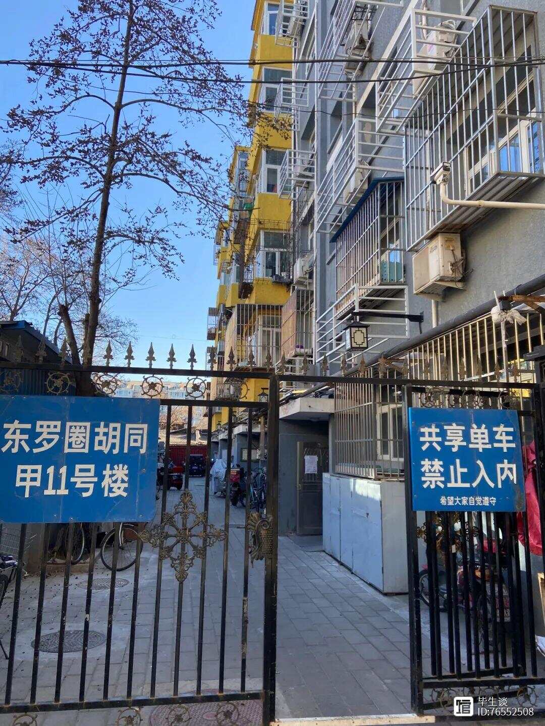 东罗园时村最新动态报道，最新资讯速递