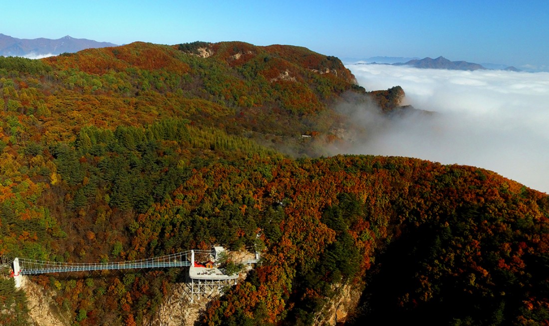 虎谷峡资讯更新，科技重塑景区，前沿之旅体验报告