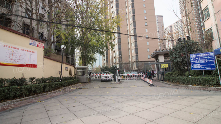 铁道京广家园最新动态，趣事连连，深厚友情在温馨家园中绽放
