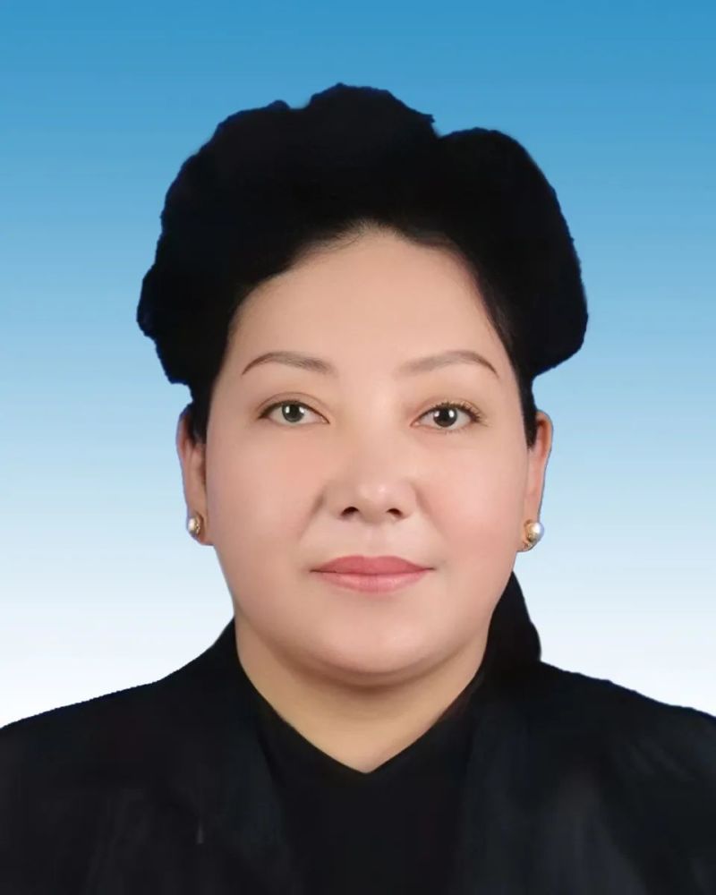 拉萨市副市长最新名单揭晓，科技引领智慧城市建设新篇章