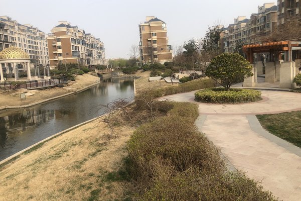 临沂凤凰水城，科技引领未来，最新资讯一览