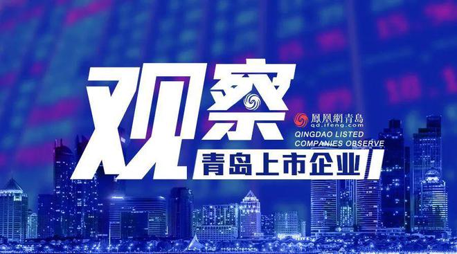 上市企业高管的心灵之旅，与自然共舞，探寻宁静之道