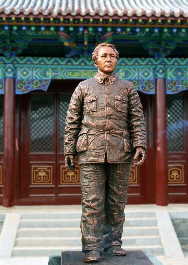 四大家鱼价格行情深度解析，小巷盛宴背后的鱼鲜市场揭秘。