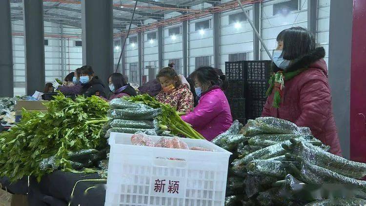 古都西安新鲜资讯，焕发新活力