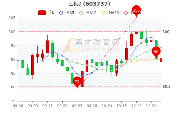 三棵树股票之旅，自然之旅的心灵鼓舞与股市洞察