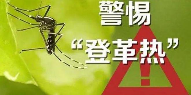 广东登革热最新动态及预防应对指南（初学者与进阶用户必备知识）