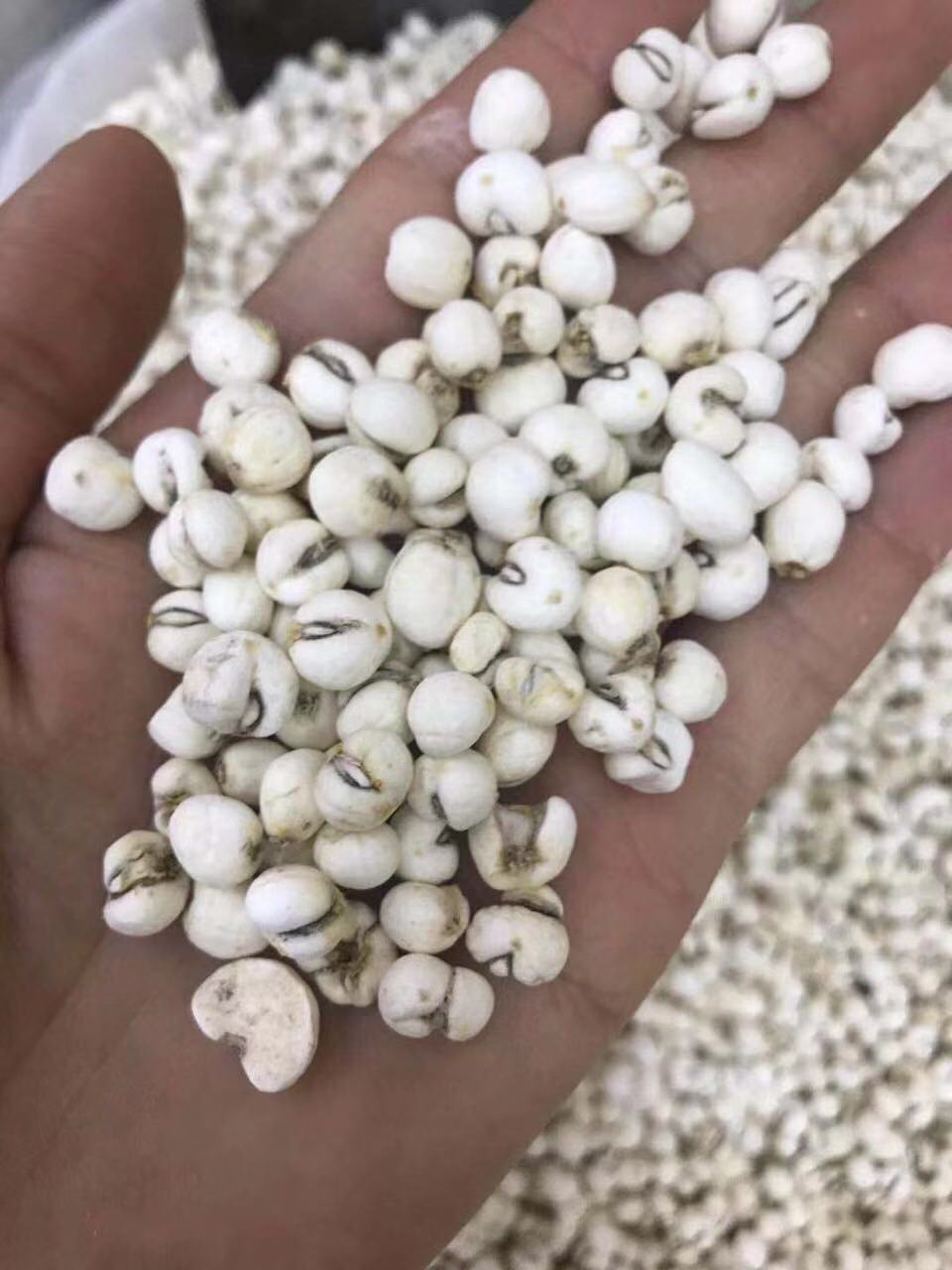 选矿通风管 第101页