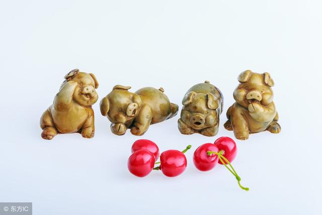 最新特效猪品种，科技与生活融合的高科技产品介绍