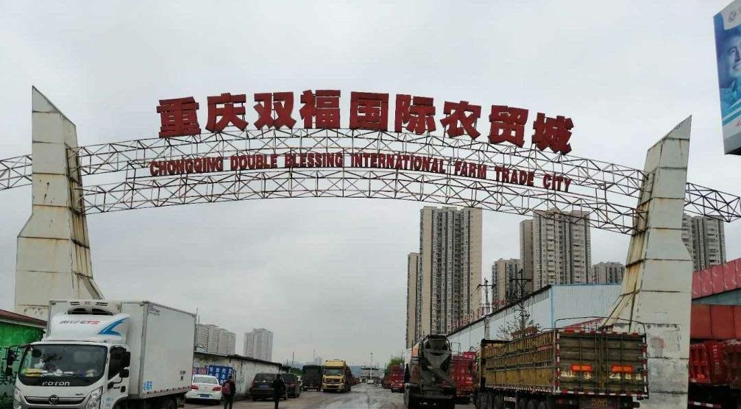 坚果行情与科技新品，智能生活新风尚的领略