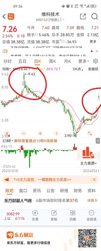600152维科精华行情深度论述