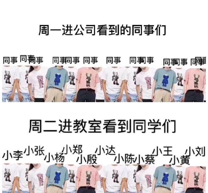 女生打架扒衣现场情况深度解析，涉黄问题的警示与反思