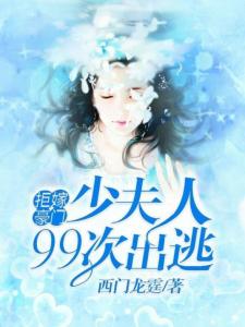 西门龙霆少奶奶99次逃离最新章节深度解析与探讨
