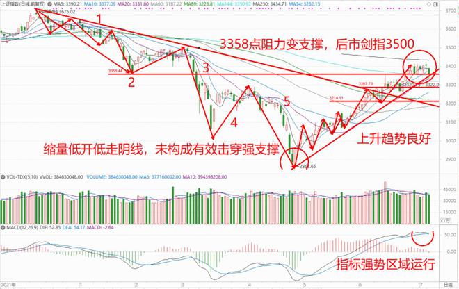深沪行情多维探析，市场走势深度解析