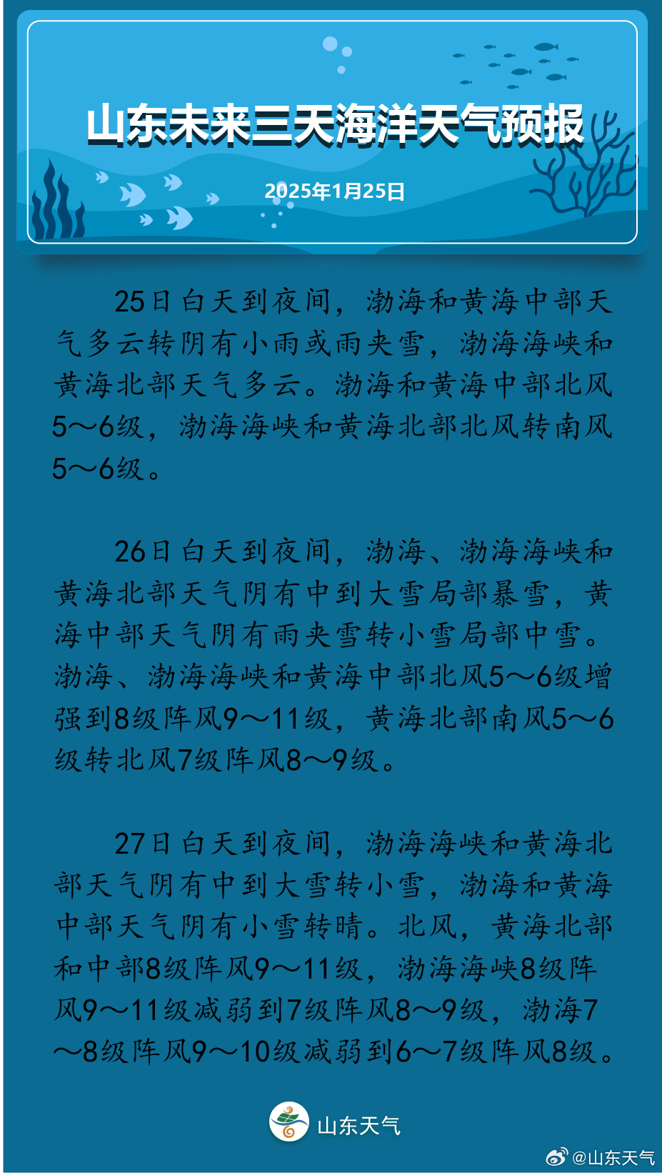 山东海洋天气预报与小巷美食探险揭秘