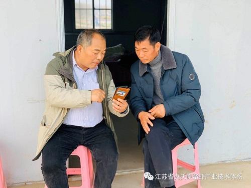 灌南县最新城市规划详解与观点论述