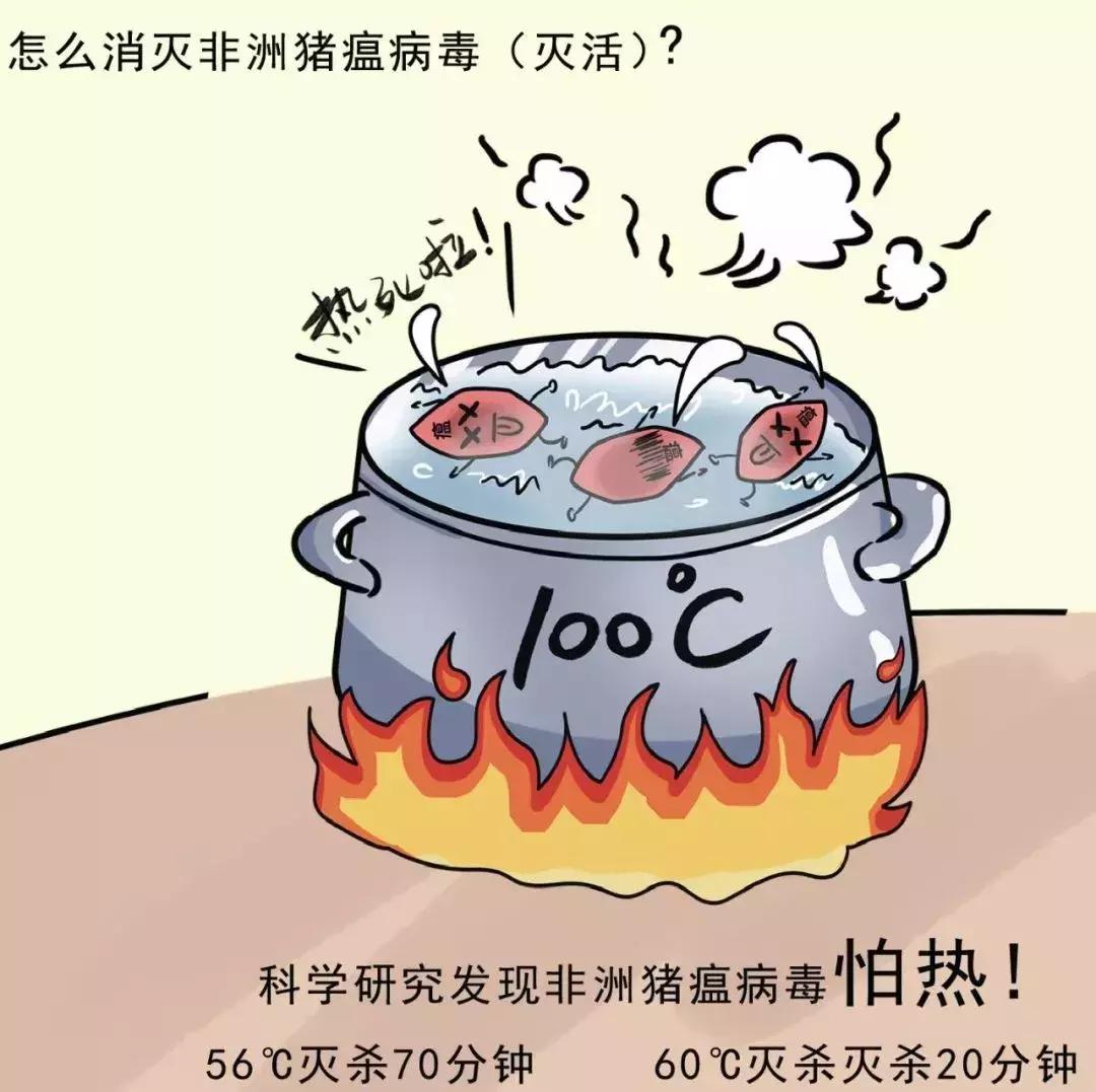 科技智能监测，新时代下的猪瘟防控与守护健康新篇章