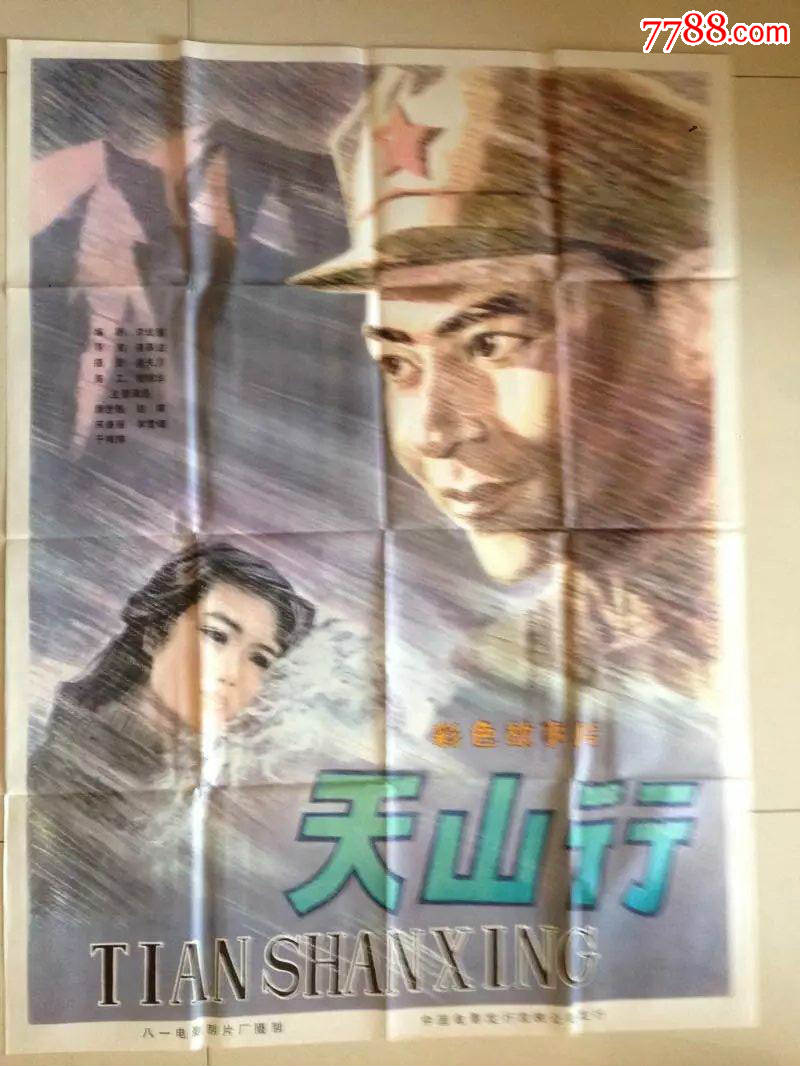 天山行电影，爱与陪伴的永恒之旅