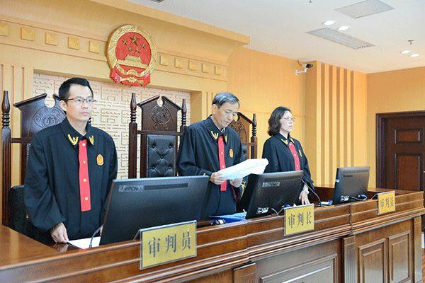 电视台台长的职责、挑战与未来展望，全面解析职业发展路径