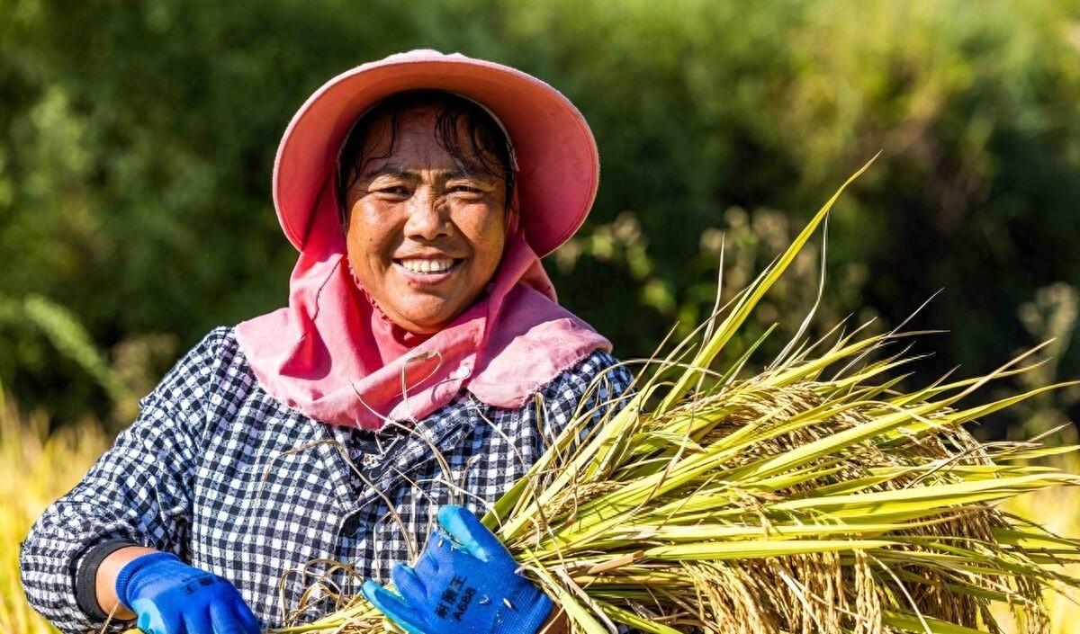 中国粮食行情中的温情故事