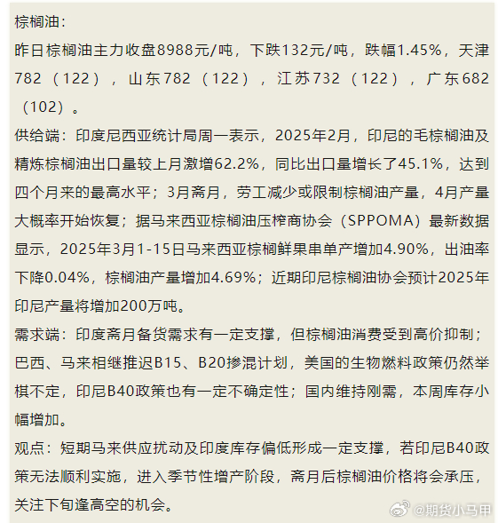 棕榈油最新动态，小巷深处的独特风味探索
