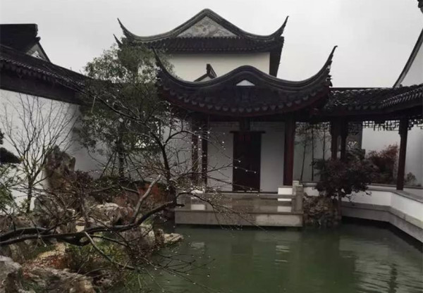 姑苏最新资讯及其观点论述深度解析
