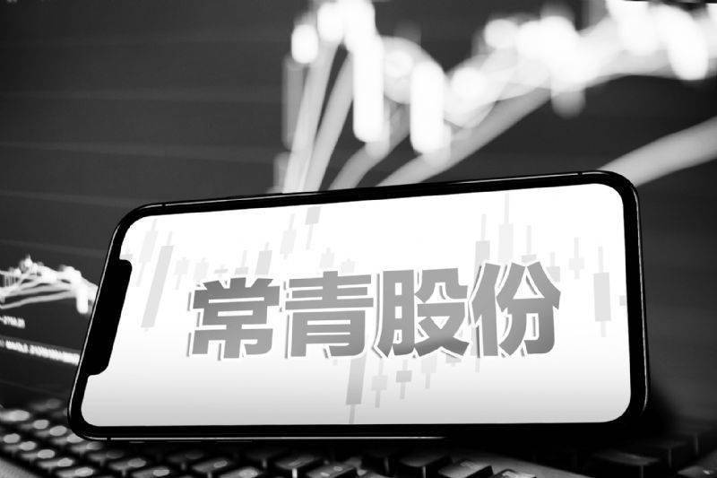常青国际借壳上市，深度解析与观点阐述