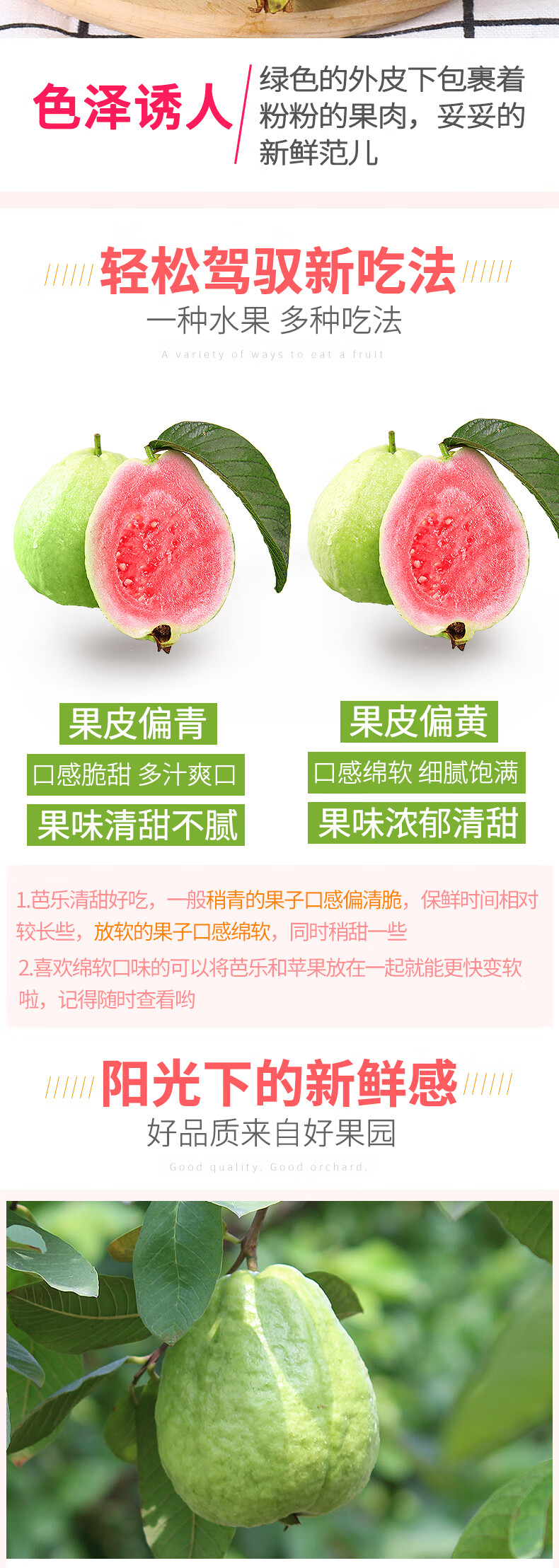 芭乐最新地，小巷隐藏宝藏的独特魅力