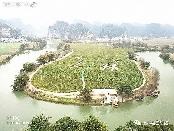 上林最新资讯动态