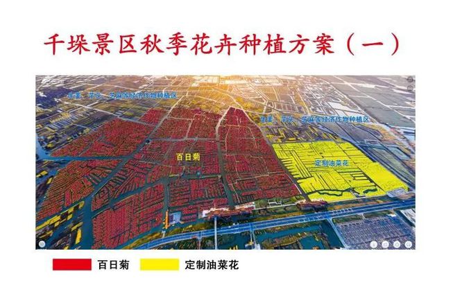 兴化最新流感揭秘，巷弄深处的秘密与特色小店的奇遇