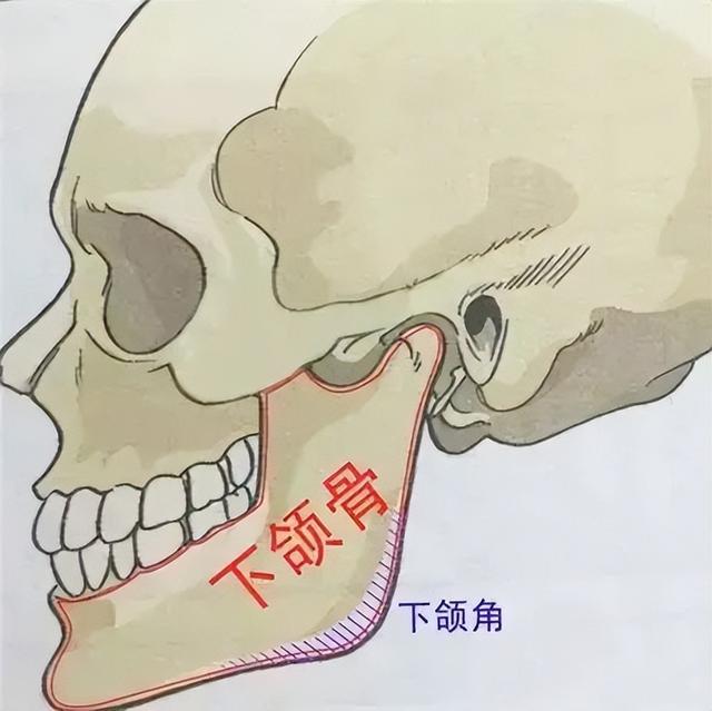 下颌线重塑技术，科技助力轮廓重塑，引领生活新风尚