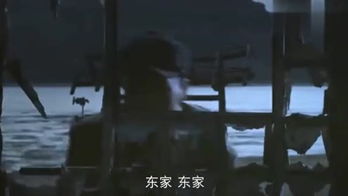最新鱼电影，海洋奇幻之旅的银幕盛宴探秘之旅