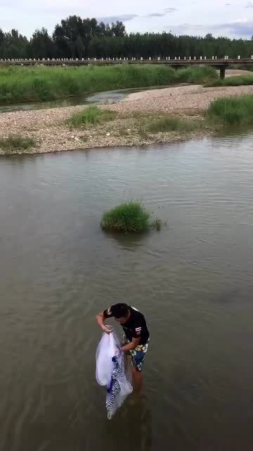 最新撒鱼网揭秘，小巷深处的独特美味