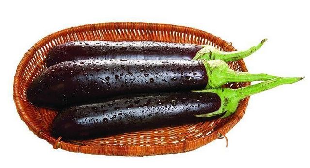 茄子大最新，温馨日常故事