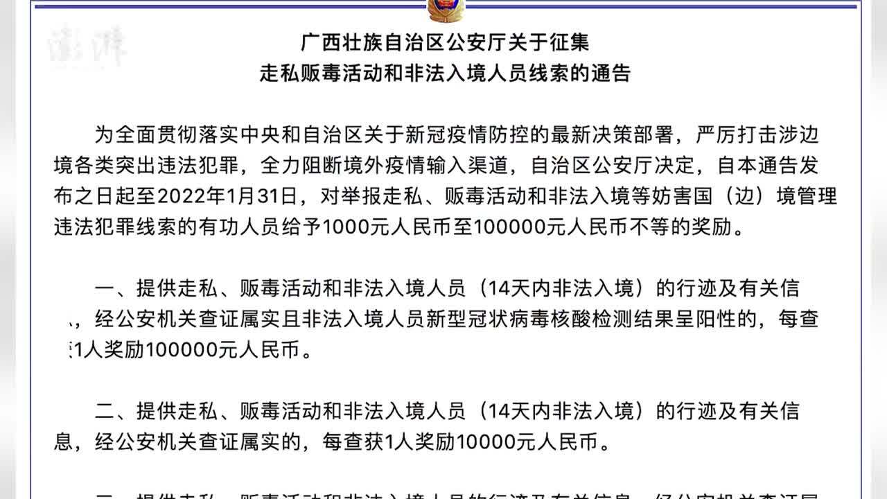广西最新入境政策观点论述解析