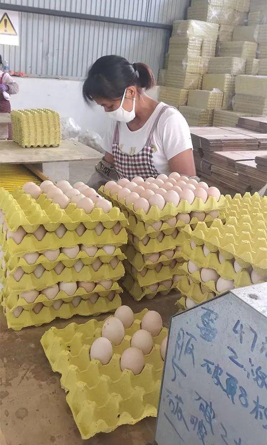 云南时代之光，璀璨明珠的最新报道