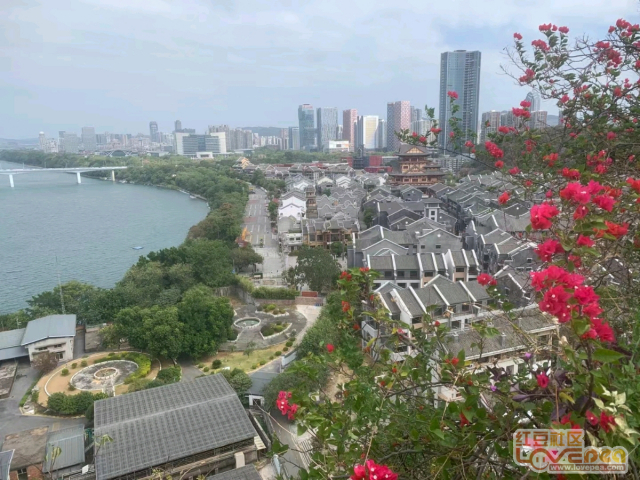 广西柳州新貌与发展热点概览