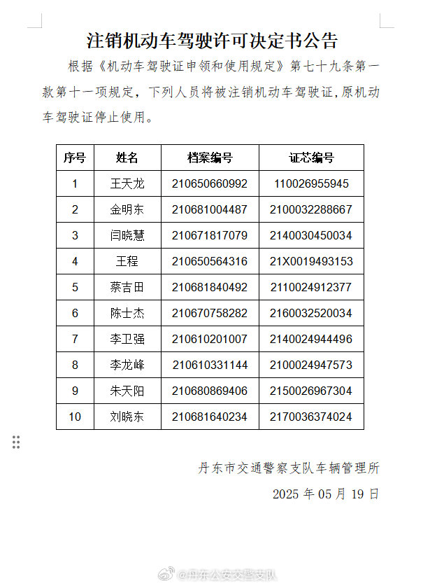 最新驾驶书探秘，小巷深处的驾驶宝藏与隐藏特色小店