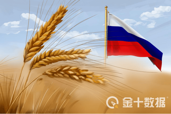 时代变迁下的观点演变与个体立场探索，最新视角与探索